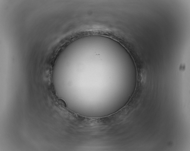 X0000113221493200909241435