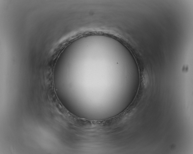 X0000113221494200909241435