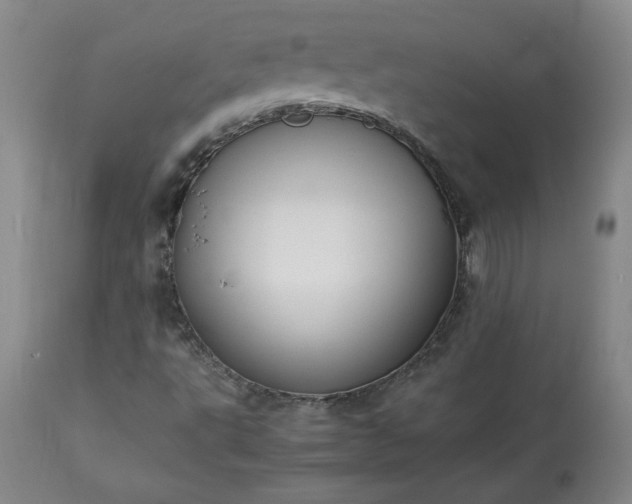 X0000113221495200909241435