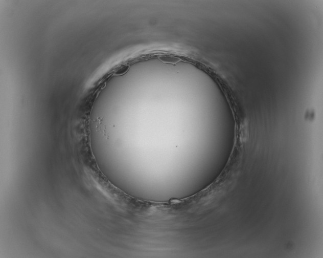 X0000113221496200909241435