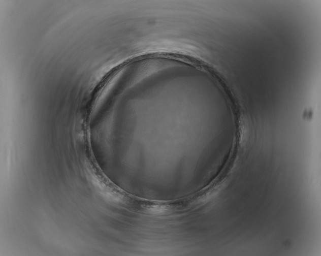 X0000113221497200909241435