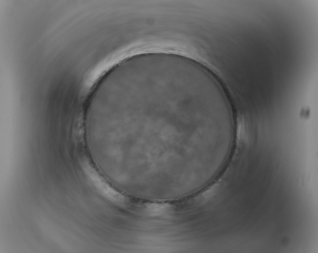 X0000113221498200909241435