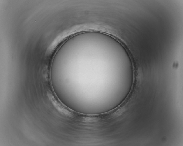 X0000113221499200909241435