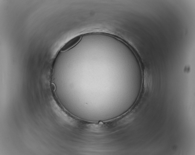 X0000113221500200909241435