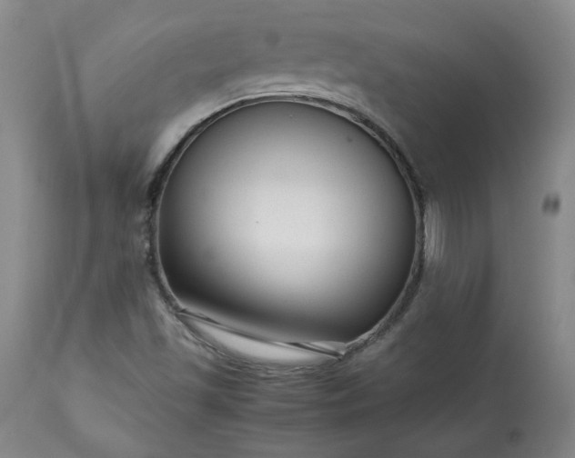 X0000113221501200909241435