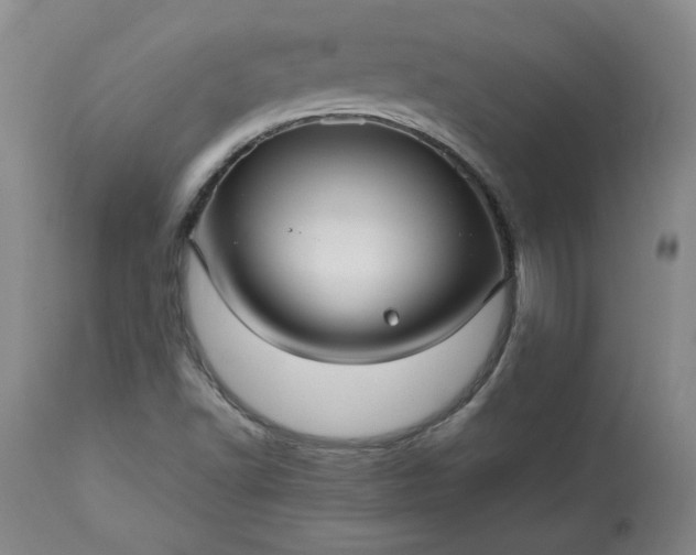 X0000113221502200909241435