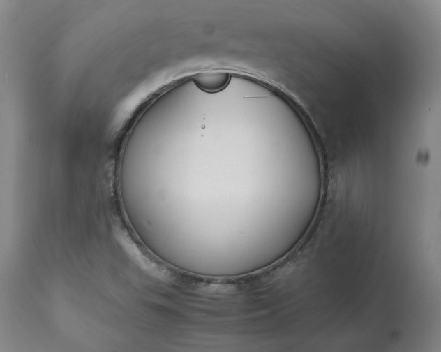 X0000113221503200909241435