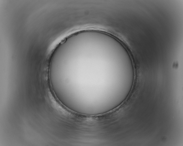 X0000113221504200909241435