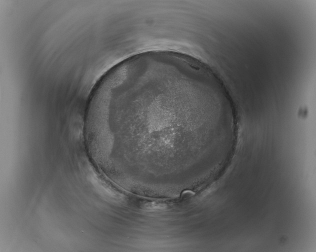 X0000113221505200909241435