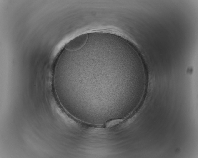 X0000113221506200909241435