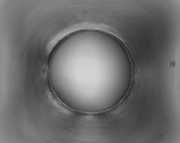 X0000113221507200909241435