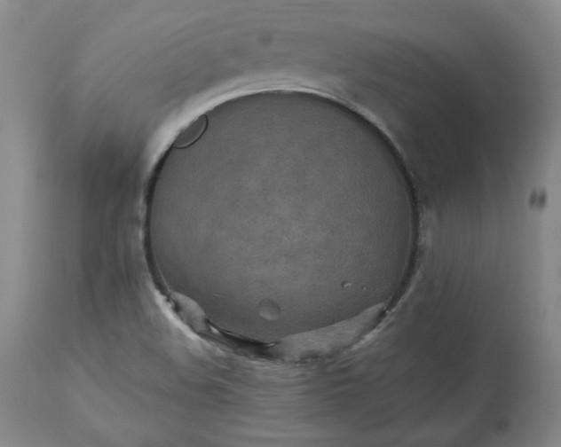 X0000113221508200909241435