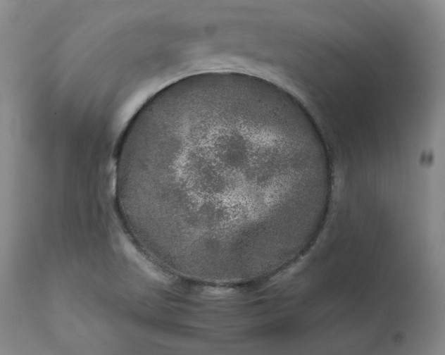 X0000113221509200909241435