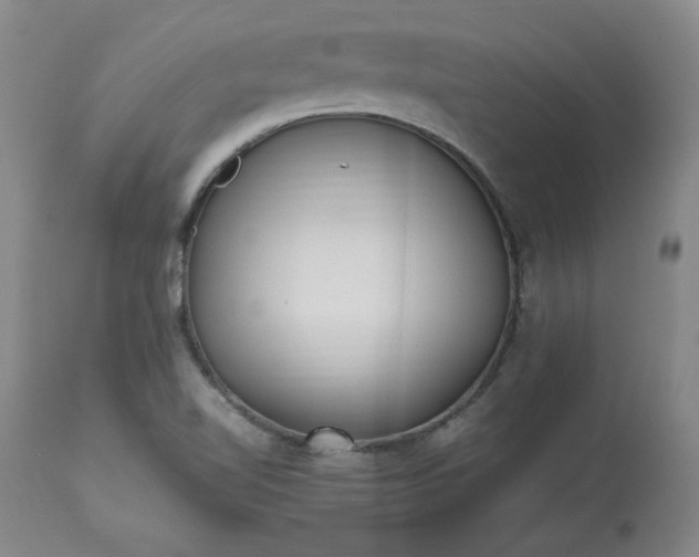 X0000113221510200909241435