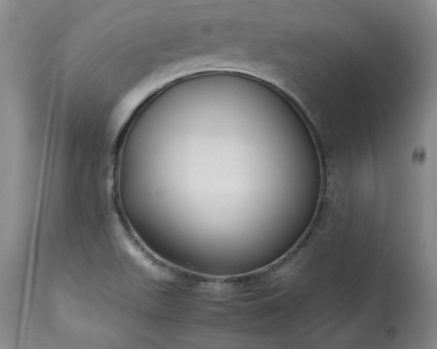 X0000113221511200909241435