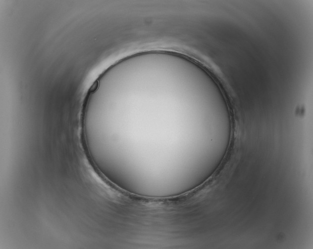 X0000113221512200909241435