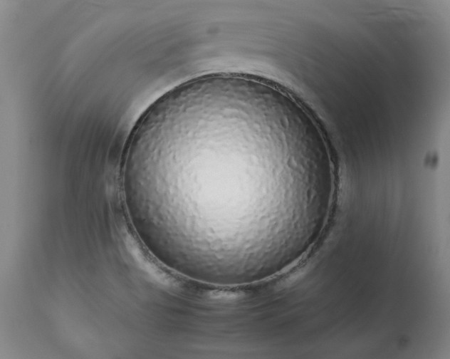 X0000113221513200909241435