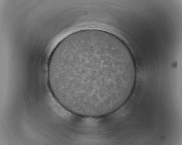 X0000113221514200909241435