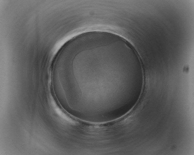 X0000113221515200909241435