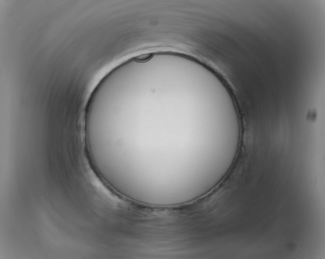 X0000113221516200909241435