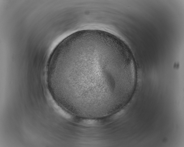 X0000113221517200909241435