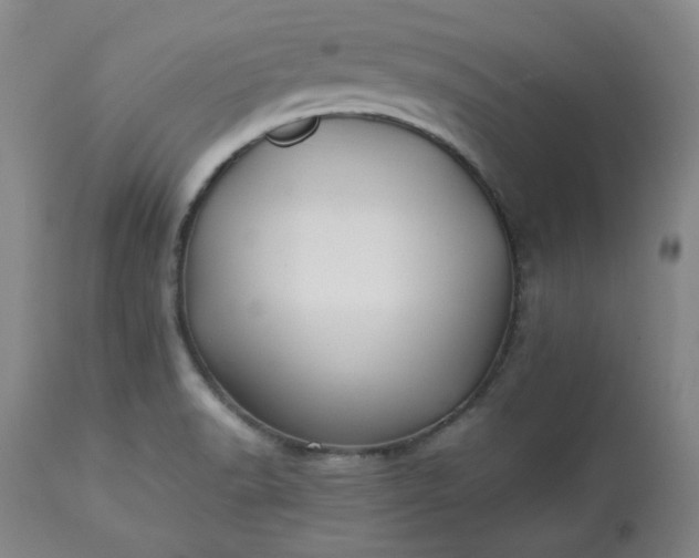 X0000113221518200909241435