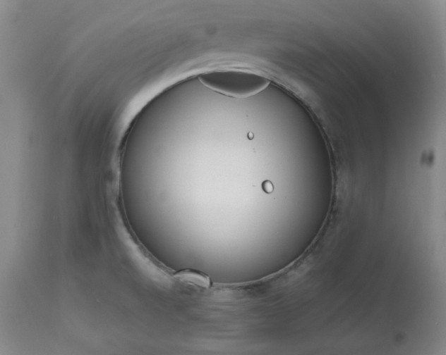 X0000113221520200909241435