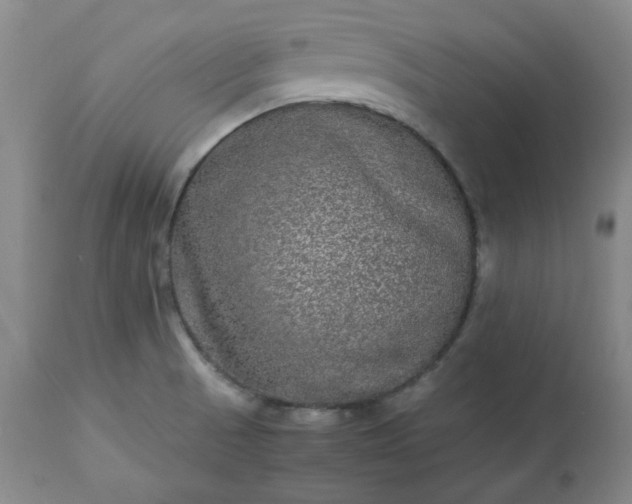 X0000113221521200909241435