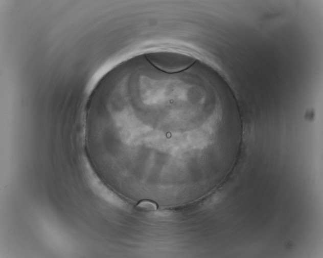 X0000113221522200909241435