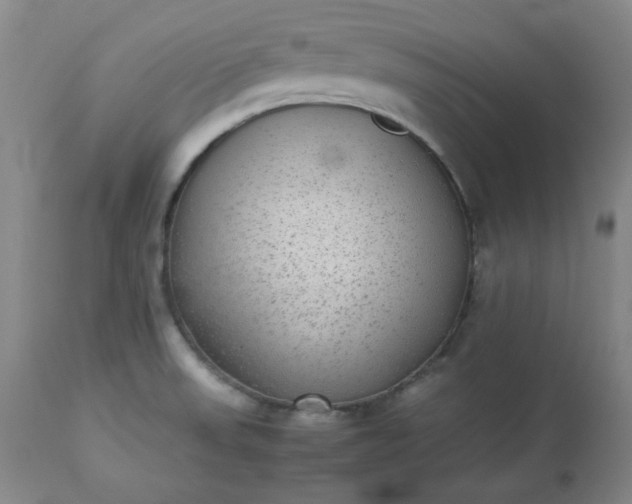 X0000113221523200909241435