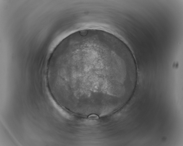 X0000113221525200909241436