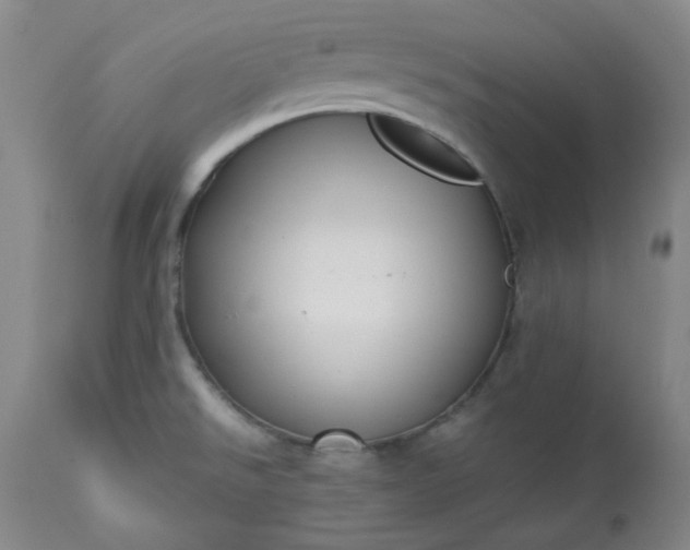 X0000113221526200909241436