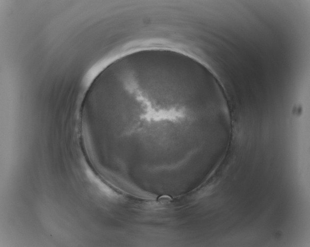 X0000113221527200909241436