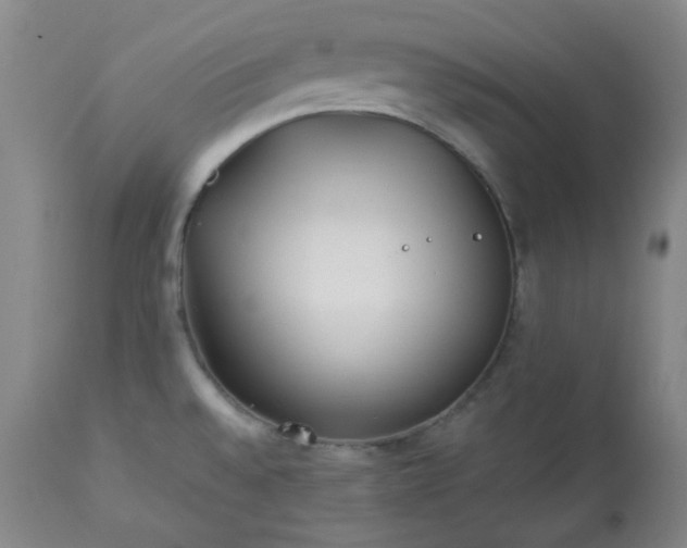 X0000113221528200909241436