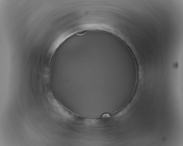 X0000113221529200909241436