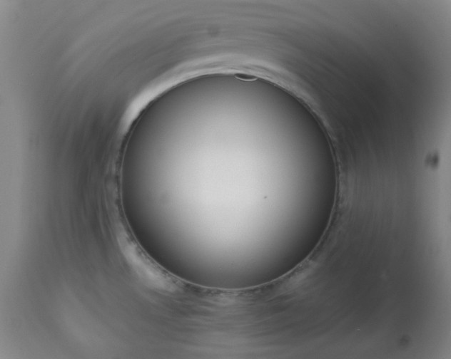 X0000113221530200909241436