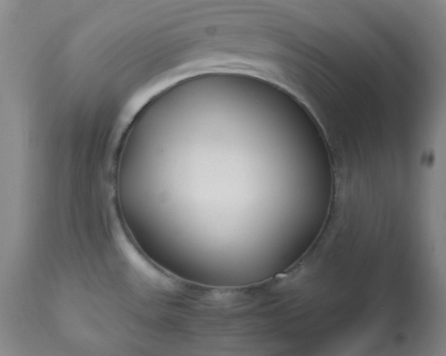 X0000113221531200909241436