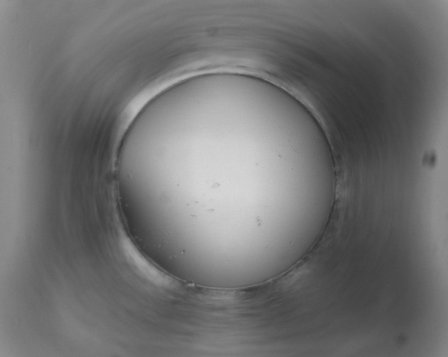 X0000113221532200909241436