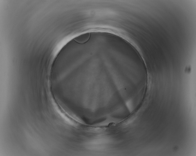 X0000113221533200909241436