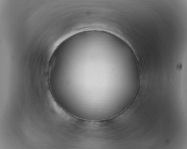 X0000113221534200909241436