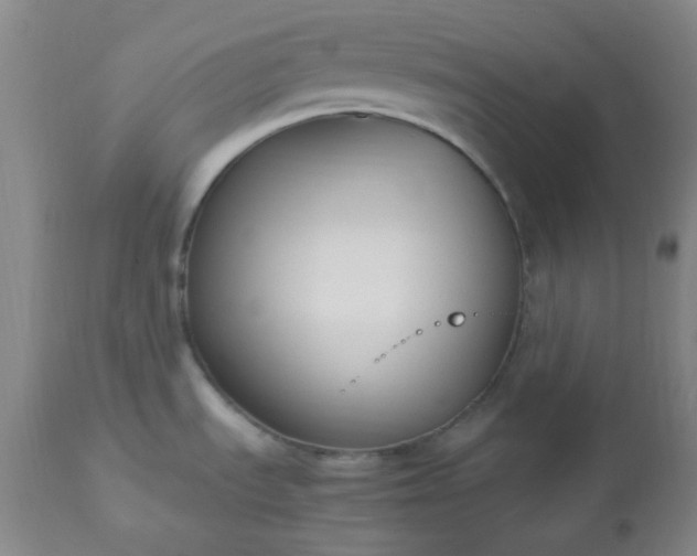 X0000113221535200909241436