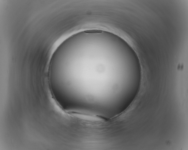 X0000113221536200909241436