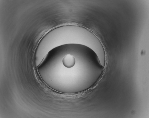X0000113220001200910011357