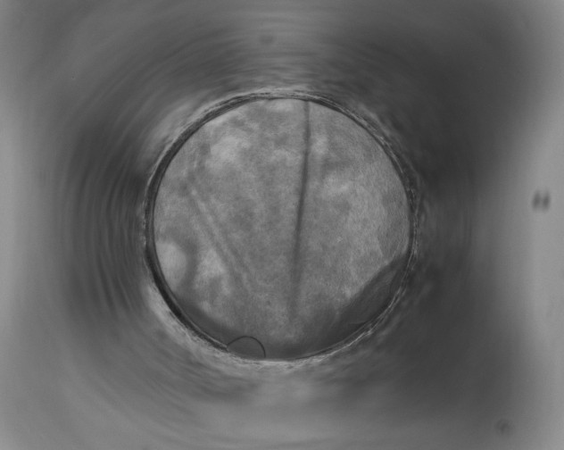 X0000113220002200910011357