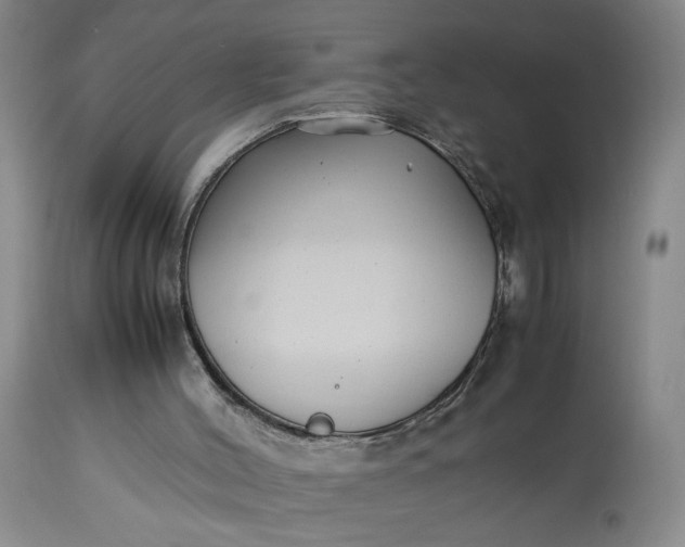 X0000113220004200910011357