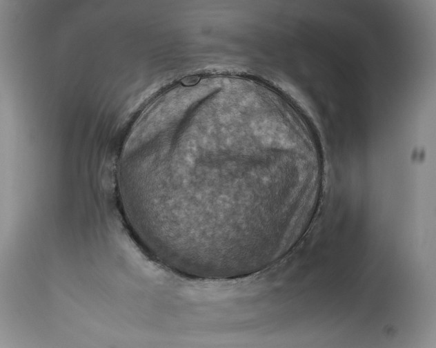 X0000113220009200910011357