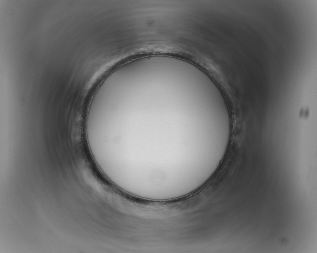 X0000113220012200910011356