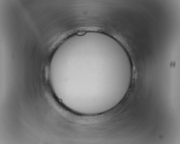 X0000113220013200910011356
