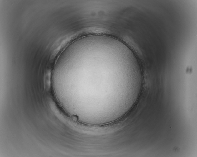 X0000113220014200910011356