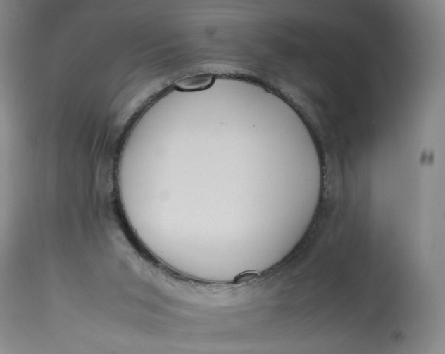 X0000113220015200910011356
